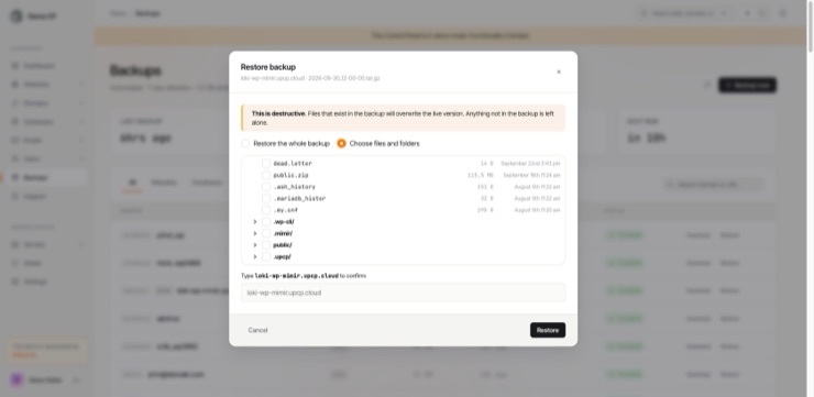 The restore dialog: choosing individual files and folders from a backup, with the site name typed to confirm
