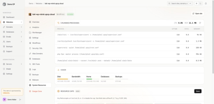 The System Resources page for a single site: the processes running inside its container, its disk, bandwidth and database usage, and its resource caps